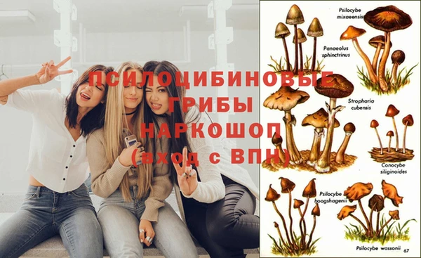 дурь Дмитровск