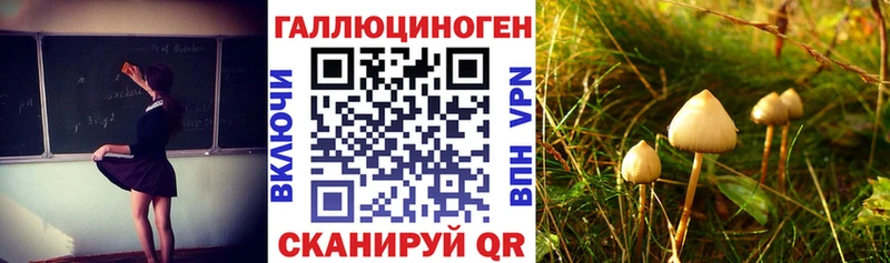 Галлюциногенные грибы ЛСД  Шелехов 