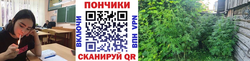 Шишки марихуана гибрид  Шелехов 